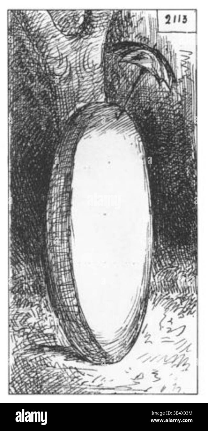 Diese um 1868 entstandene Karikatur von André Gill stellt Lise Tréhot dar, ein Modell aus Renoir's berühmtem „Lise mit einem Sonnenschirm“. Gills überspitzter Stil fängt Lises Gleichnis mit Humor und Karikatur ein und zeigt seine künstlerische Interpretation des Modells. Stockfoto