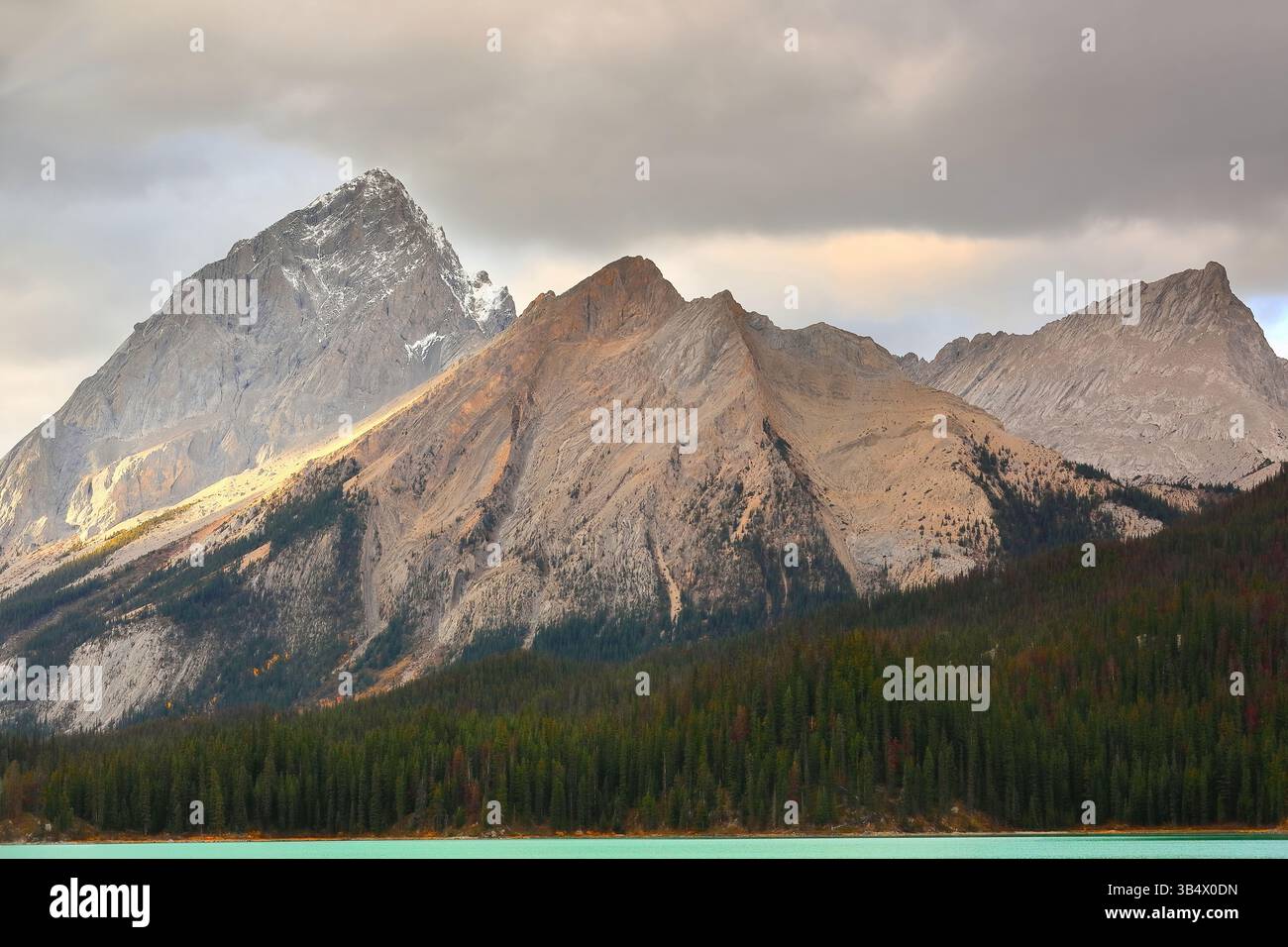 181 schneebedeckte Gipfel mit Blick auf die Nordostküste des Maligne Lake (L-R) = Samson 3081 m, Unbenannt 2600 m, Samson NE1 c.2800 m. Jasper NP-Alberta-Canada. Stockfoto