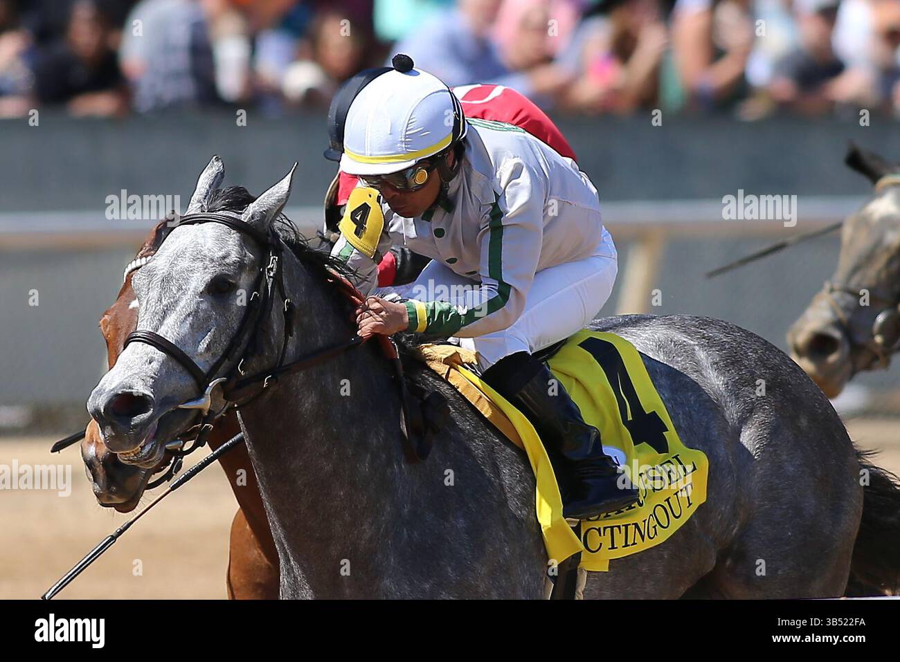 April 2022, Hot Springs, Arkansas, USA: 2. April, 2022: Regatta (4) unter Jockey Martin Garcia gewinnt am 2. April 2022 die Carousel Stakes im Oaklawn Racing Casino Resort in Hot Springs, Arkansas. Justin Manning/Eclipse Sportswire/CSM(Credit Image: Stockfoto
