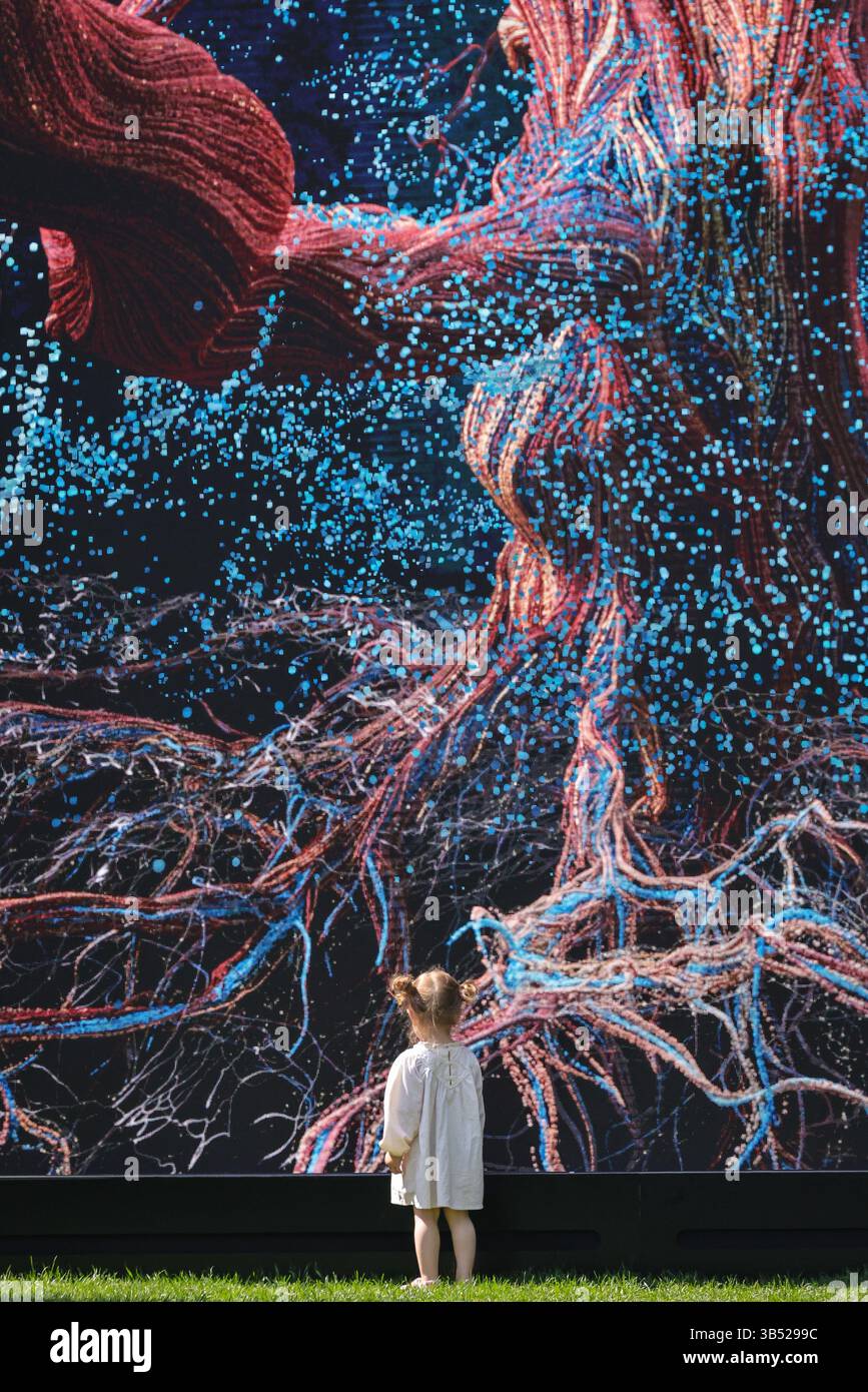 London, Großbritannien. Mai 2025. Mitglieder der Öffentlichkeit sehen sich die Installation an und interagieren mit ihr. Kew Gardens präsentiert die Weltpremiere der neuen interaktiven digitalen Kunstinstallation „of the Oak“ von Marshmallow Laser Feast. Die Installation zeigt die Geschichte der Lucombe-Eiche, einem der ältesten und wichtigsten Bäume Kews und ist Teil von Kews Sommerfeier der Bäume. Die Ausstellung findet vom 3. Mai bis 28. September statt. Quelle: Imageplotter/Alamy Live News Stockfoto