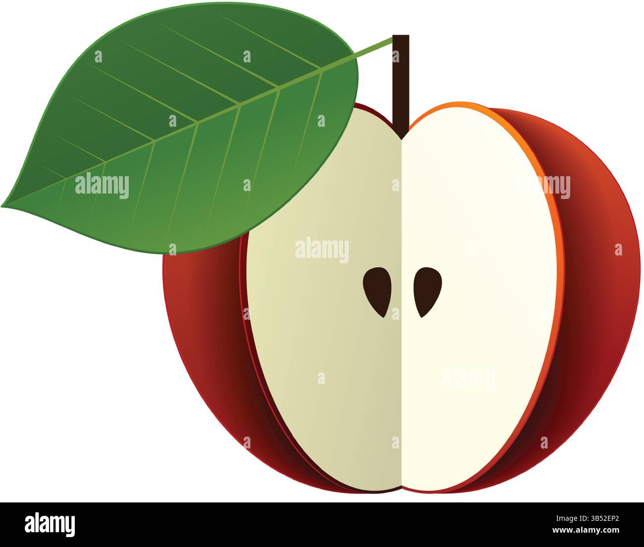 Roter Apfel halb Frucht Vektor Lebensmittel Illustration Symbol Stock Vektor