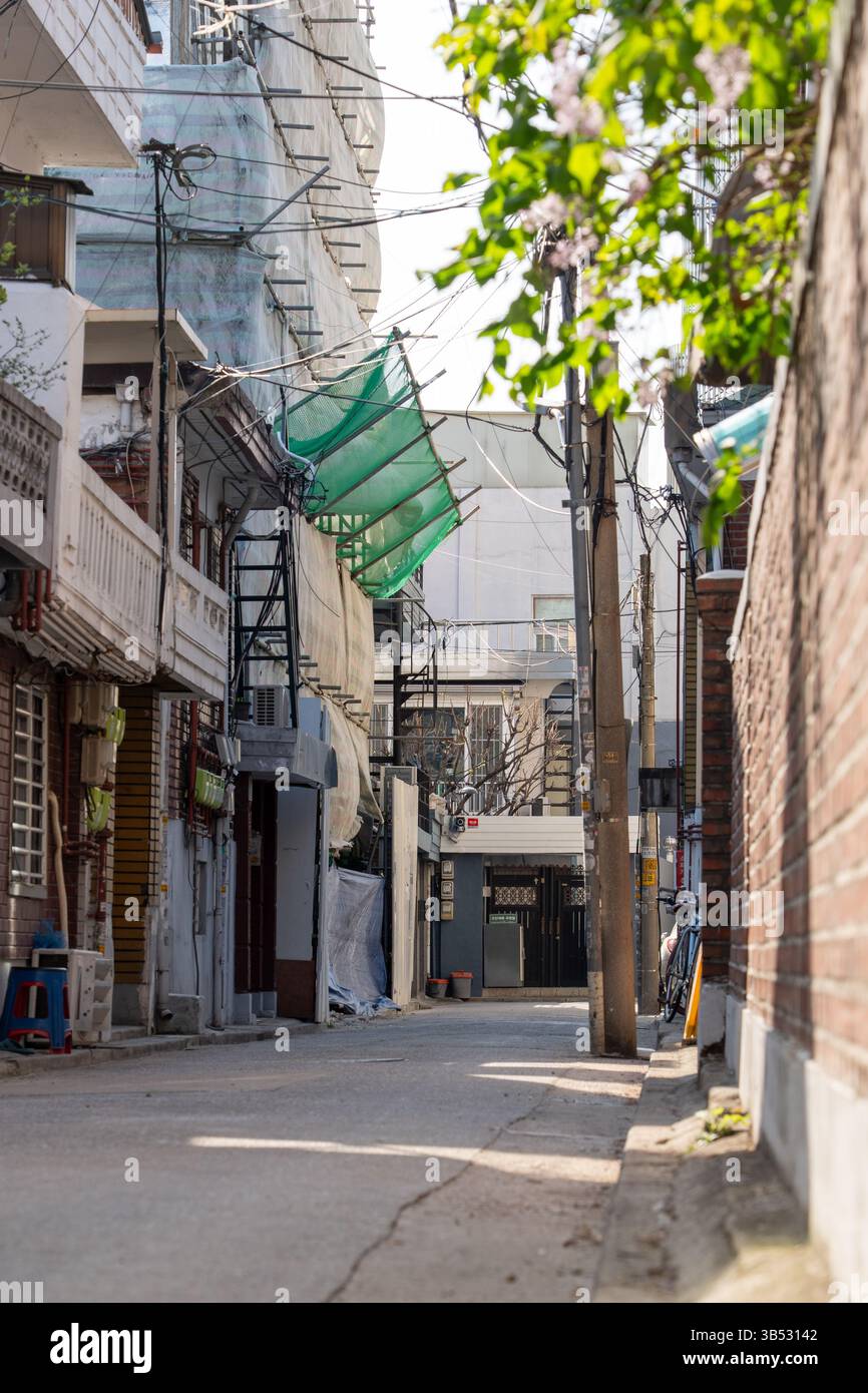 Ruhige Gasse in einem koreanischen Wohnviertel Stockfoto