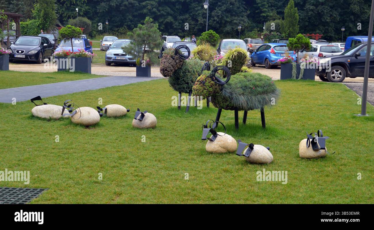 Pflanzenskulpturen Schafe - Szczawnica, Polen Stockfoto