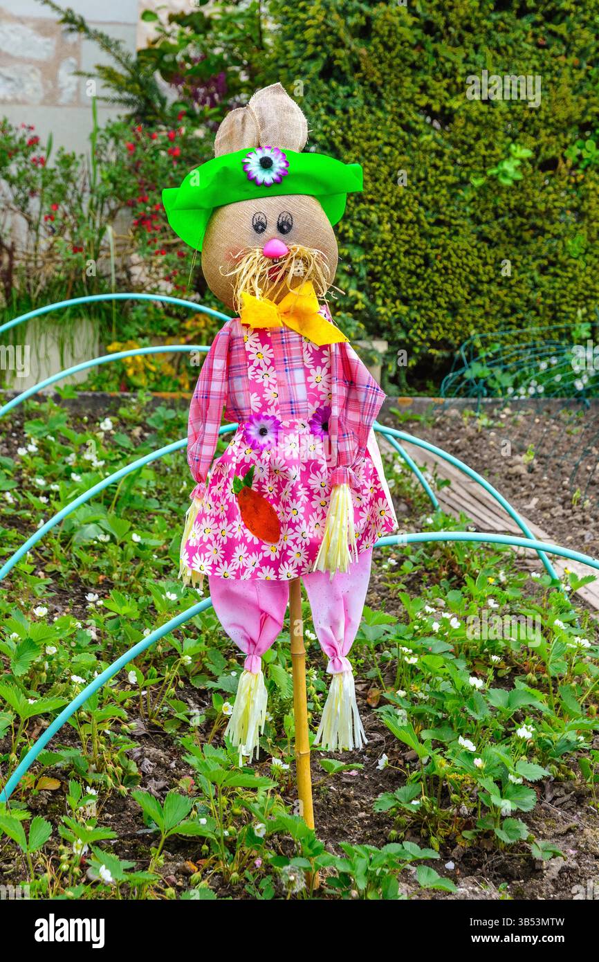 Hausgemachte Vogelscheuchen-Figur zum Schutz vor Erdbeerpflanzen im lokalen Garten - Preuilly-sur-Claise, Indre-et-Loire (37), Frankreich. Stockfoto
