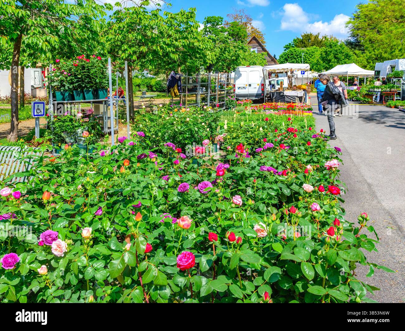 Jährlicher Blumen- und Pflanzenverkauf in Yzeures-sur-Creuse, Indre-et-Loire (37), Frankreich. Stockfoto
