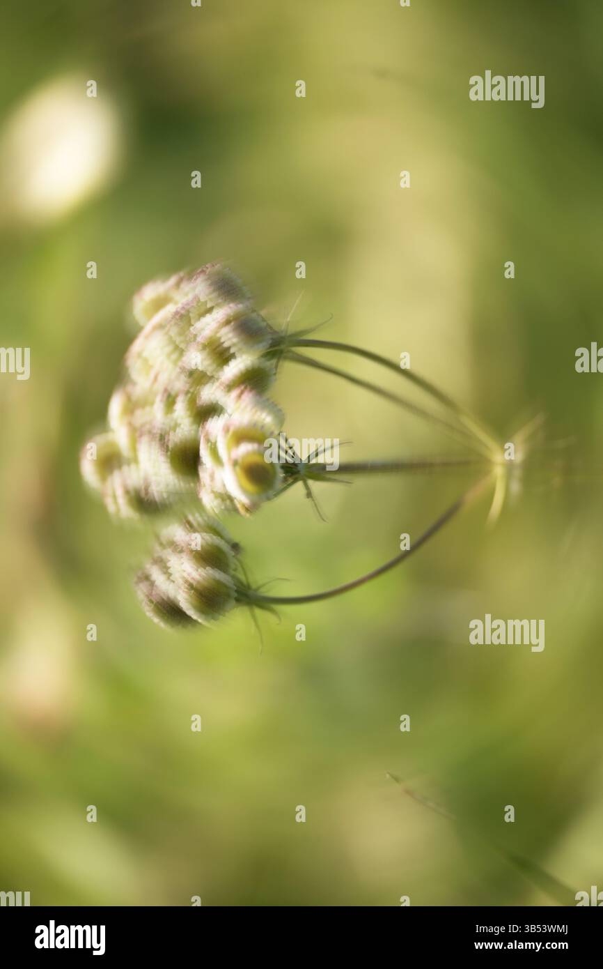 Minimaler Naturhintergrund mit Bewegungseffekt. Platzhalter und Leerzeichen für Text. Stockfoto