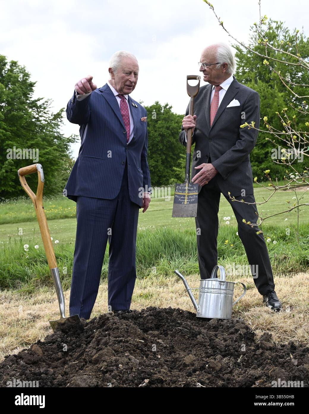 Windsor, Großbritannien. Mai 2025. WINDSOR, VEREINIGTES KÖNIGREICH 20250501Schwedens König Carl Gustaf und Königin Silvia sowie Großbritanniens König Karl III. Und Königin Camilla bauen am 1. Mai 2025 das Krönungsgeschenk des schwedischen Königspaares an König Charles, eine Eiche aus Solliden auf Öland, auf Windsor Castle außerhalb von London ein. Ein Spaten, der bei der heutigen Pflanzung verwendet wurde, war bereits in Windsor, nachdem König Gustaf V. von Schweden am 19. November 1908 eine weitere Eiche in England gepflanzt hatte. Foto: Fredrik Sandberg/TT/Code 10080 Credit: TT News Agency/Alamy Live News Stockfoto