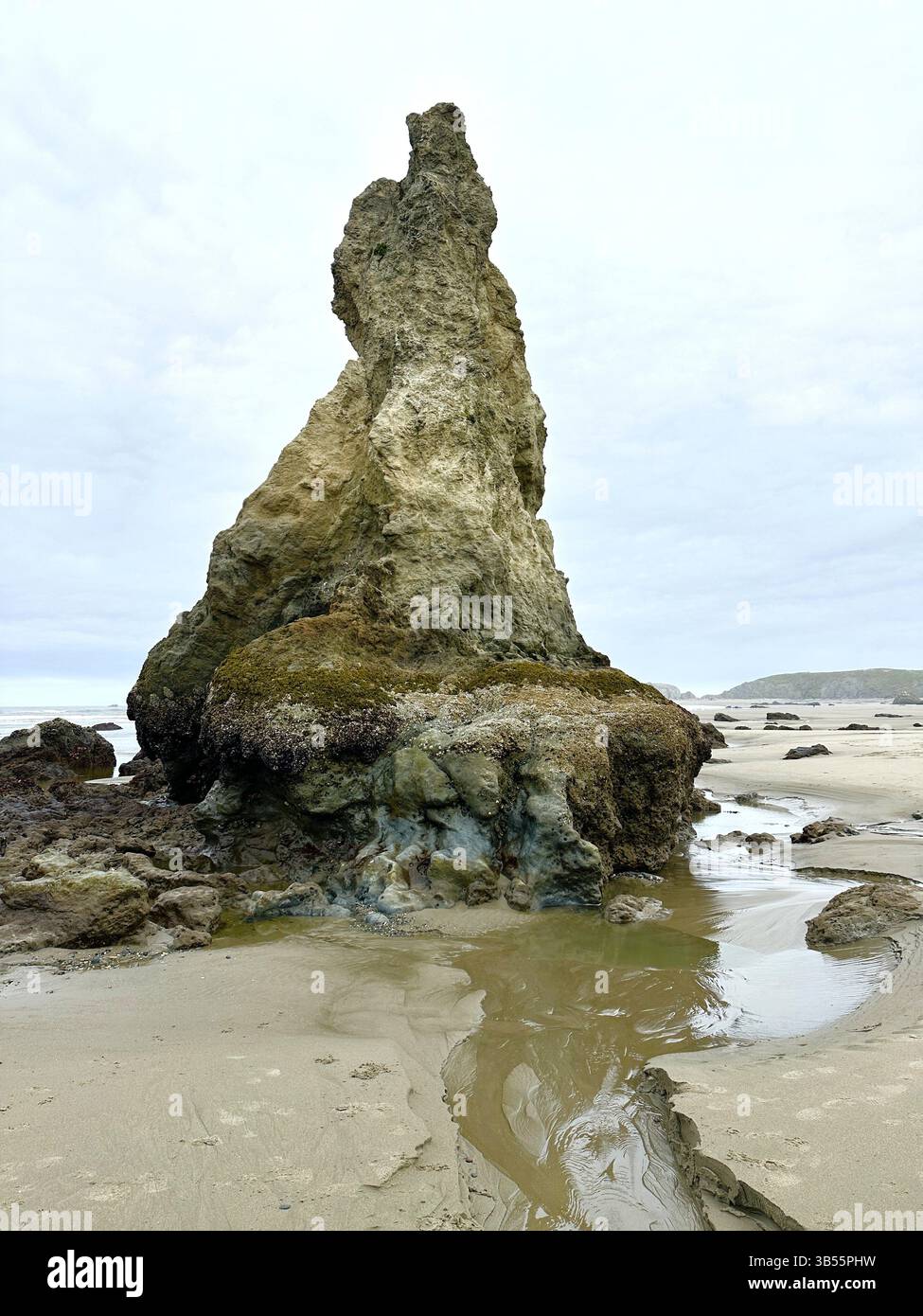 Ein Seestapel am Face Rock Beach in Bandon, Oregon. Stockfoto