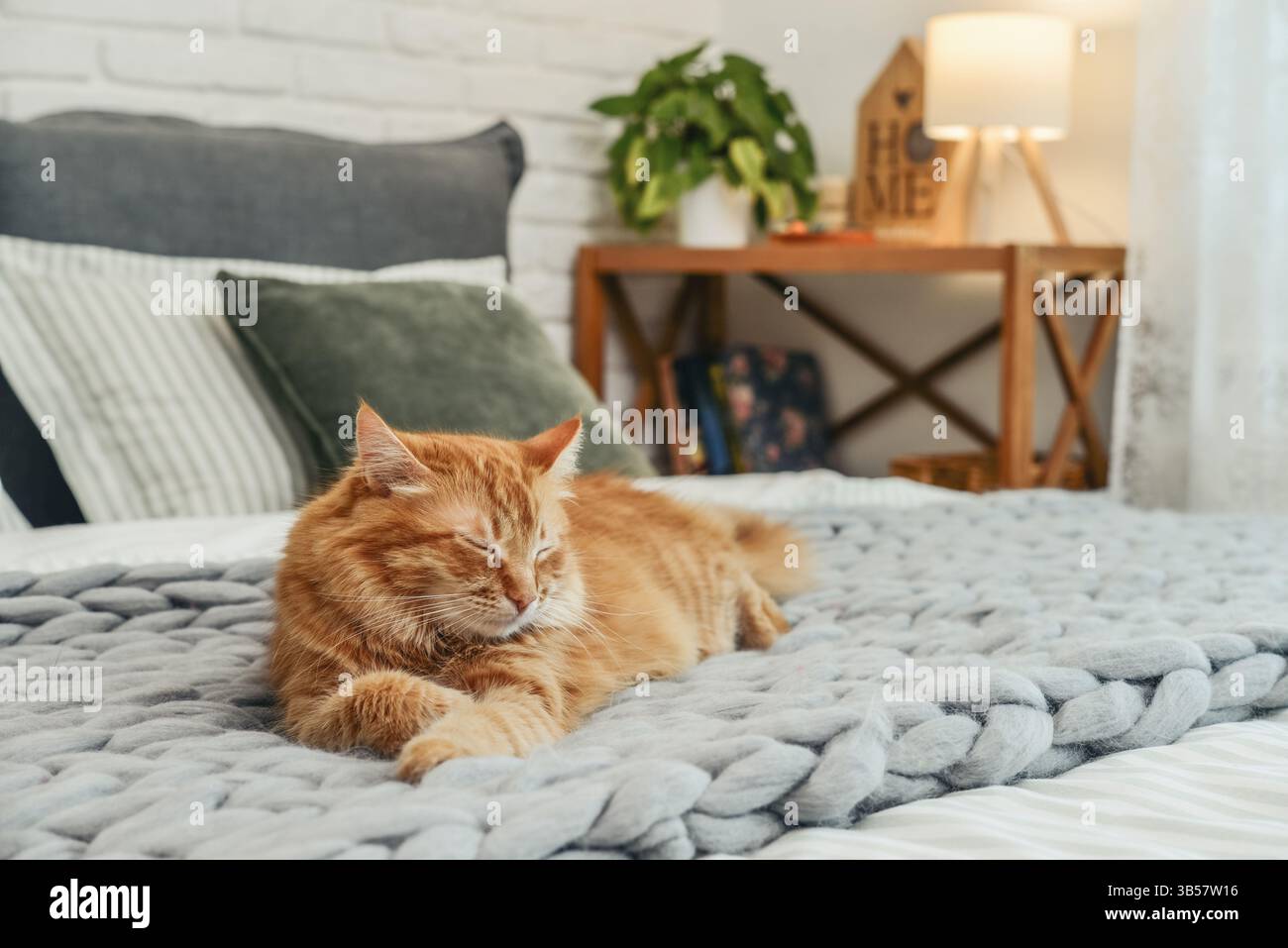 Niedliche rote Katze liegt auf dem Bett im gemütlichen Schlafzimmer mit Nachtlicht im Hintergrund Stockfoto