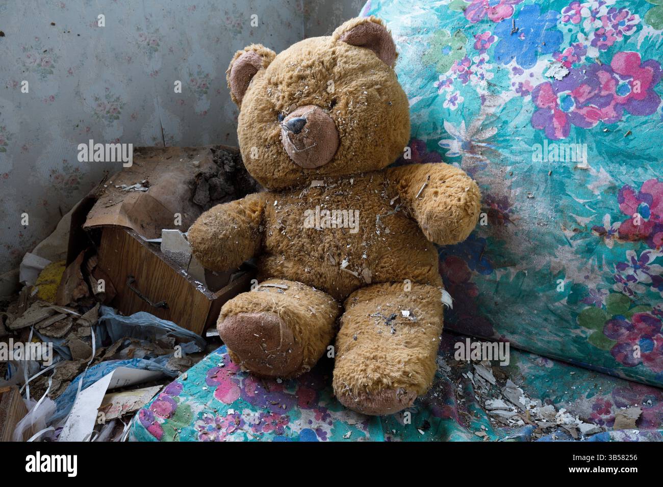 Ein vergessener gefüllter Teddybär, voller Dreck. Dieses Haus wurde seither abgerissen Stockfoto