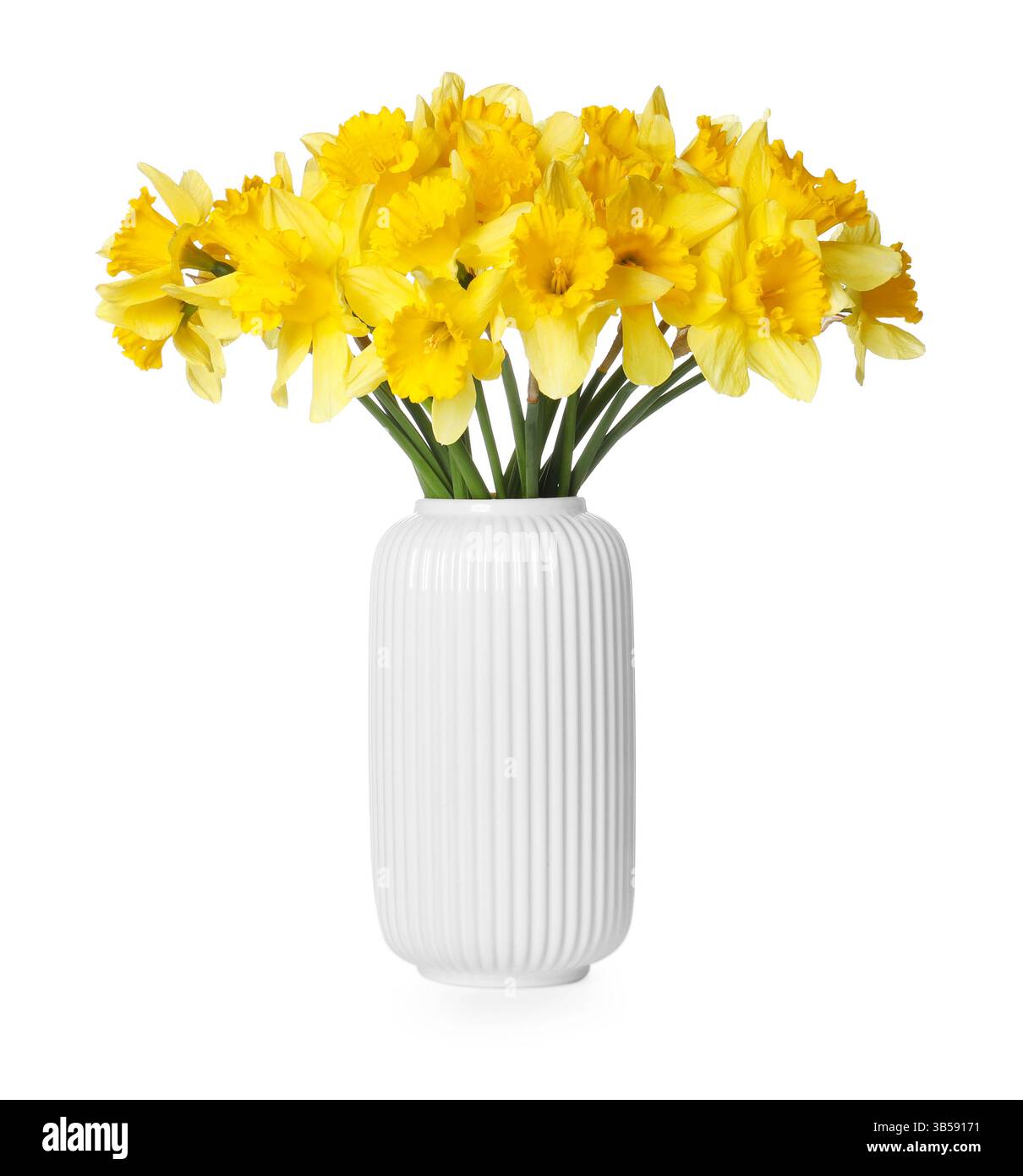 Gelbe Narzissen in Vase isoliert auf weiß Stockfoto