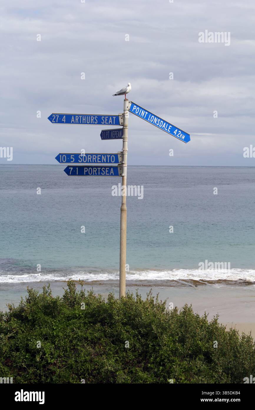 Mehrere Richtungsschilder am Strand von Queenscliff zeigen in Richtung Arthurs Seat, Point Lonsdale, Sorrento und Portsea mit einer Silbermöwe Stockfoto