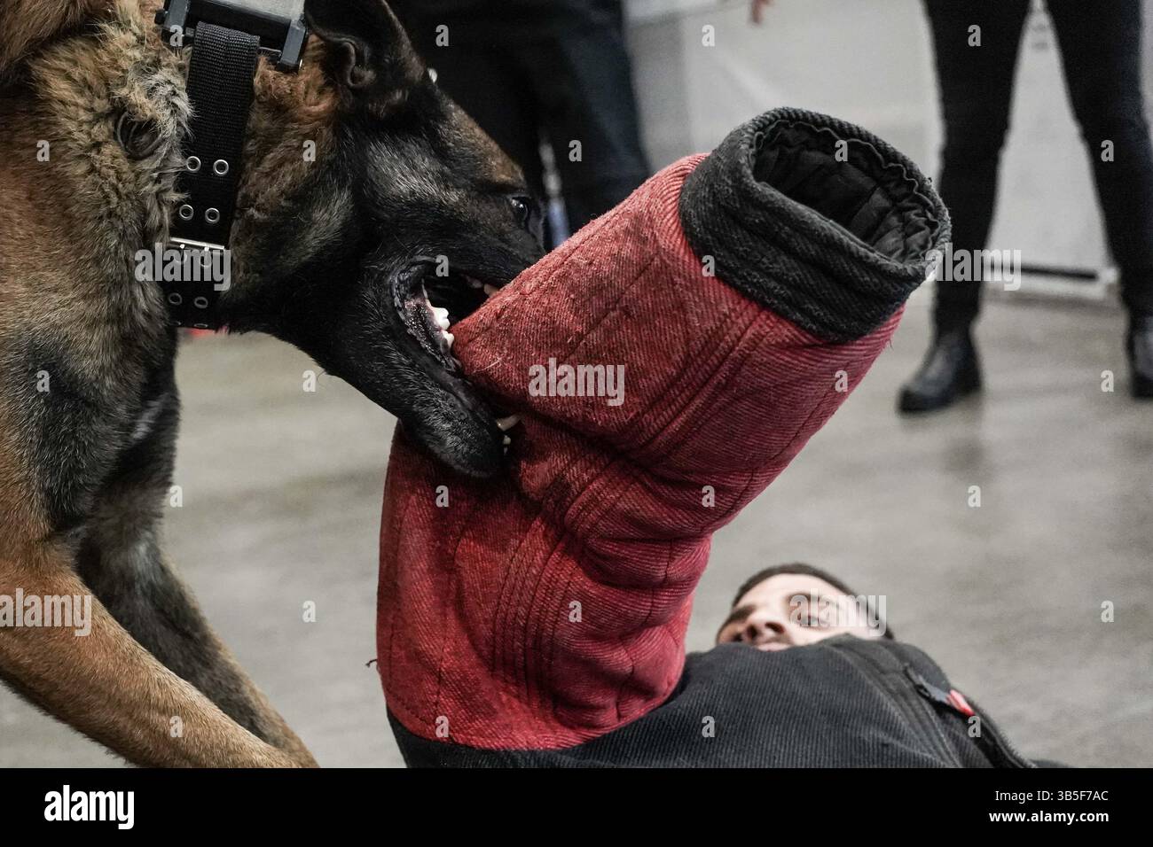 22. März 2022, Tel Aviv, Israel: Israelâ Internationale Sicherheits- und Verteidigungs-Ausstellung eröffnet auf der EXPO Tel Aviv und beleuchtet Ausrüstung und Technologien für Verteidigung, Landsicherheit, Megaereignisschutz, Cybersicherheit, Nachrichtendienste und Terrorismusbekämpfung. Das ISDEF beherbergt über 300 ausstellende Unternehmen und wird von 10.000 Besuchern und 50 Delegationen besucht, darunter Erstbesucher aus den Golfstaaten und Marokko. Die Ausstellung wird von Ländern verstärkt, die sich darauf vorbereiten, die Verteidigungsbudgets nach dem Krieg in der Ukraine und vielleicht einer neuen Weltordnung zu erhöhen. (Bild: © Nir Alon/ZUMA Pre Stockfoto