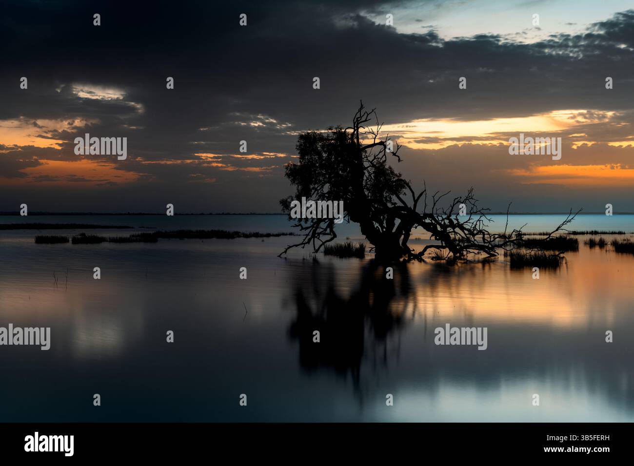 Sonnenaufgang über den Coongie Lakes, ein Naturwunder in der Wüste von South Australia. Stockfoto