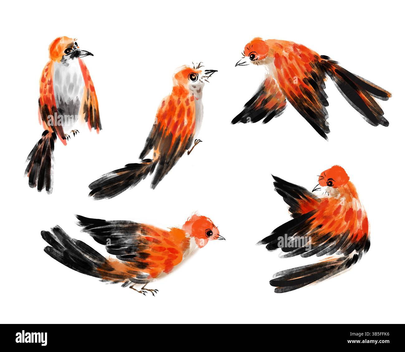 Ein digitales Gemälde, das chinesische Pinselstriche eines Vogels in vier Posen auf weißem Hintergrund imitiert. Stockfoto