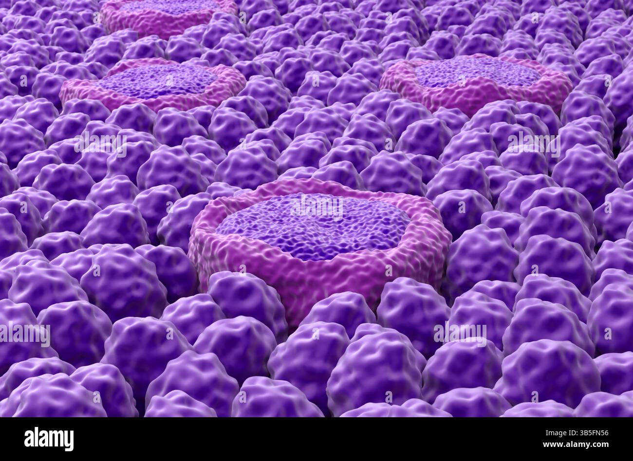 Tastenknospen - Nahansicht 3D-Illustration Stockfoto