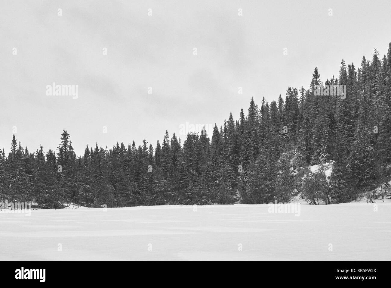 Westlicher Tjuvåsen-See, Teil des Totenåsen-Hügels, Norwegen, im Winter. Stockfoto