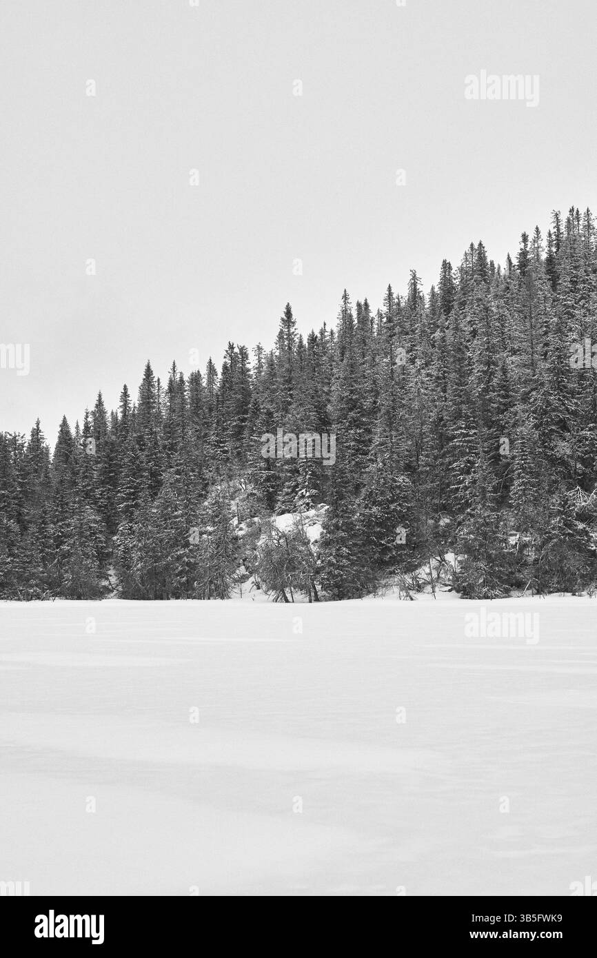 Westlicher Tjuvåsen-See, Teil des Totenåsen-Hügels, Norwegen, im Winter. Stockfoto