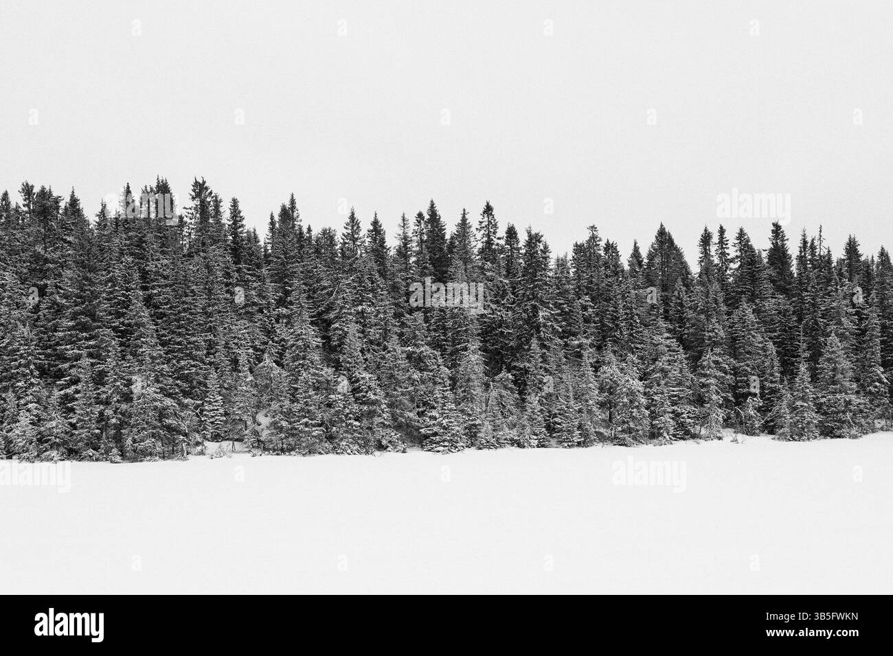 Am Abbortjernet-See des Tjuvåsen-Hügels, Teil des Totenåsen-Hügels, Norwegen, im Winter. Stockfoto