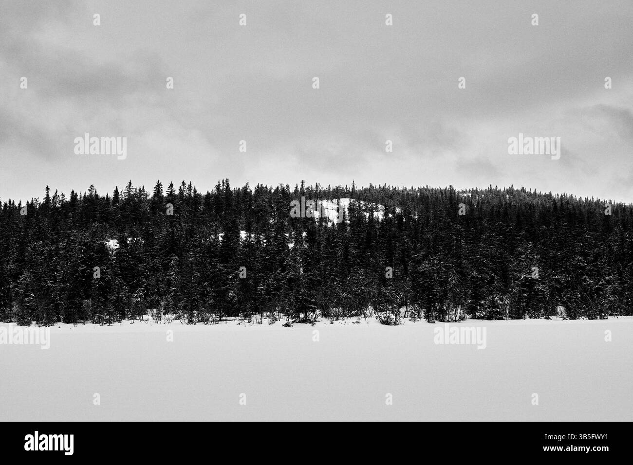 Tjuvåskampen-Hügel, Teil des Totenåsen-Hügels, Norwegen, vom Abbortjernet-See aus gesehen, März 2025. Stockfoto