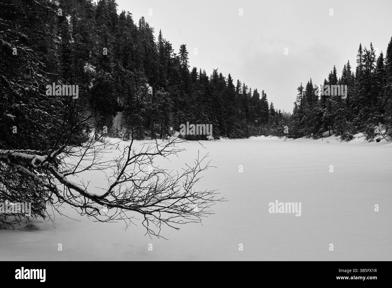 Am See Midtre Tjuvåstjernet vom Tjuvåsen-Hügel, Teil des Totenåsen-Hügels, Norwegen, März 2025. Stockfoto