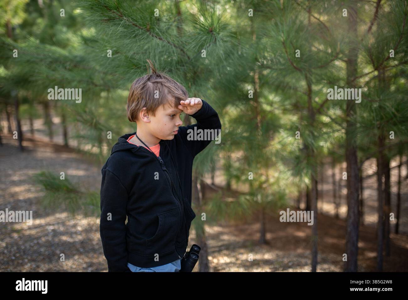 Junge mit Fernglas, umgeben von Kiefernholz und goldenem Licht Stockfoto