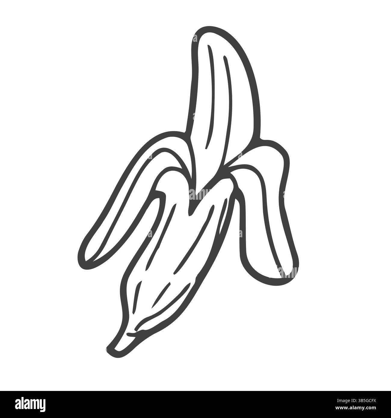 Bananenfrucht, Haufen. Bio-Ernährung gesunde Ernährung. Gravierte handgezeichnete Vintage-Retro-Vektor-Lucuma-Illustration. Banane Isoliert Stock Vektor