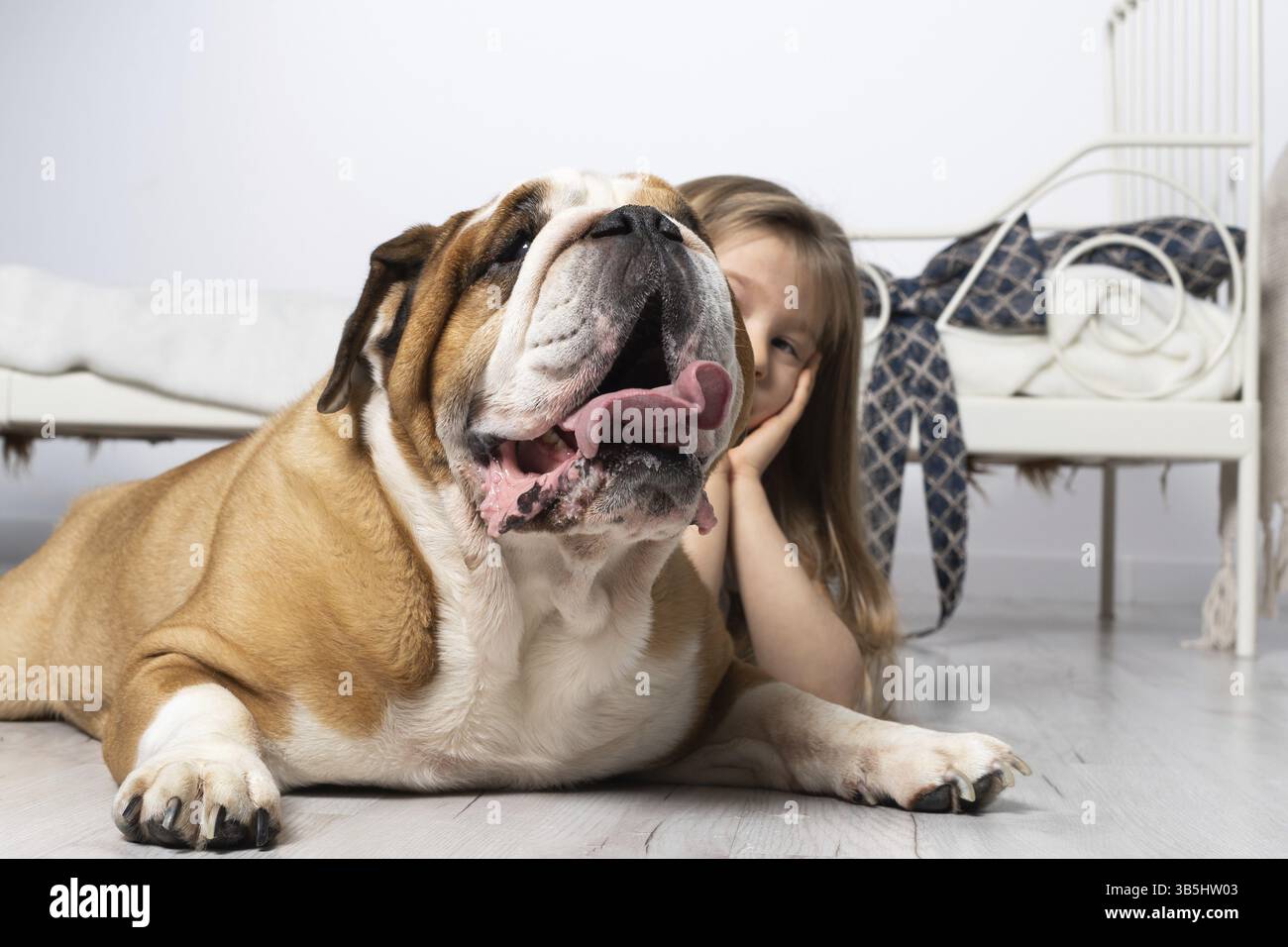 Zwei traumhafte Freunde, ein Kind und ein Hund, liegen zusammen im Zimmer auf dem Boden neben dem Bett und schwingen in den Wolken. Die englische Bulldogge ist A Stockfoto