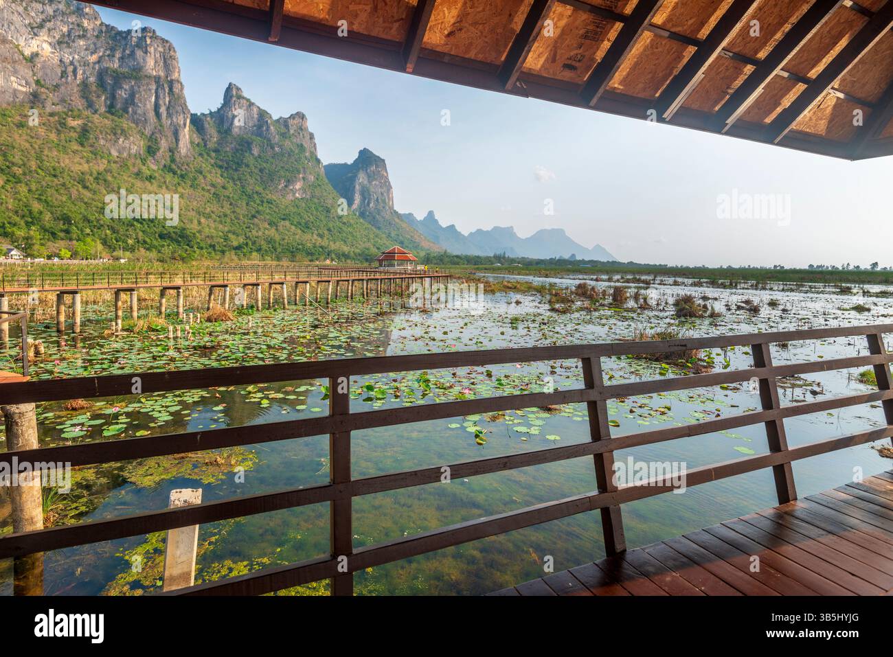 Süßwassermoor und größtes Feuchtgebiet in Thailand, mit Mangrovenwäldern und großer Vielfalt an Vogelarten und Ökosystemen, ein Spaziergang durch die Natur Stockfoto