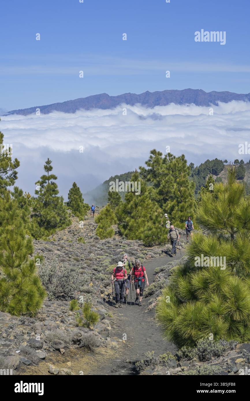 Wanderweg Ruta de los Volcanes auf dem Bergrücken Cumbre Vieja, Vulkankrater Caldera de Taburiente (im Hintergrund), La Palma, Spanien, Euro Stockfoto