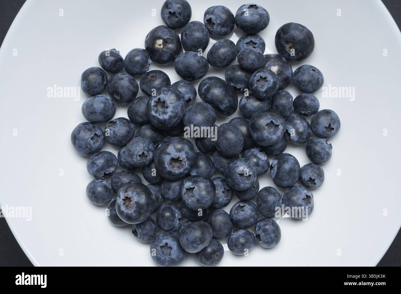 Blaubeeren auf einer weissen Scheibe mit schwarzem Hintergrund Stockfoto