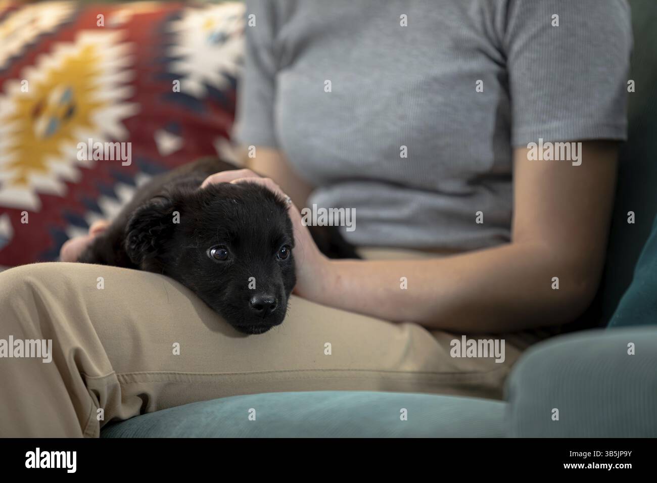 Eine herzerwärmende Szene zeigt eine Person, die sich glücklich auf einer gemütlichen Couch mit einem niedlichen schwarzen Hündchen neben ihnen entspannt Stockfoto
