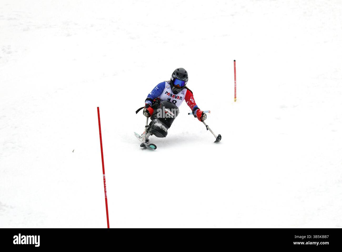 BIDAULT Meije Frankreich beim Para Alpine Ski World Cup Feldberg 2025, Todtnau-Fahl, Deutschland/Deutschland Stockfoto