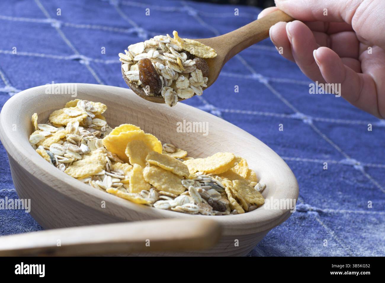 Weibliche Hand hob Getreide mit einem Holzlöffel aus Holzschale auf das Homeboard Stockfoto