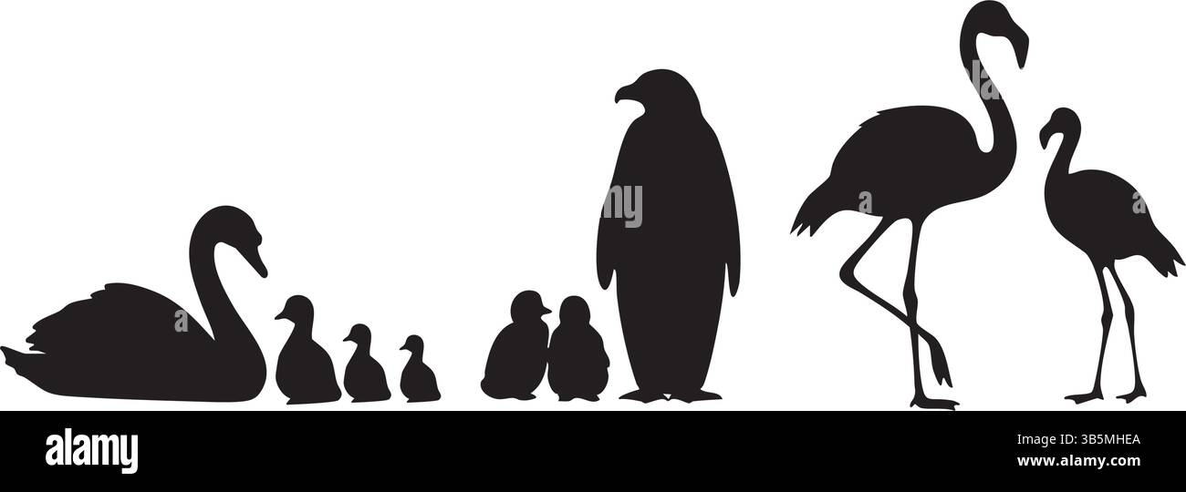 Vogel Familie Silhouette Vektor – Schwan, Ente, Pinguin, Flamingo Illustration Clip Art Zeichnung Set Stock Vektor