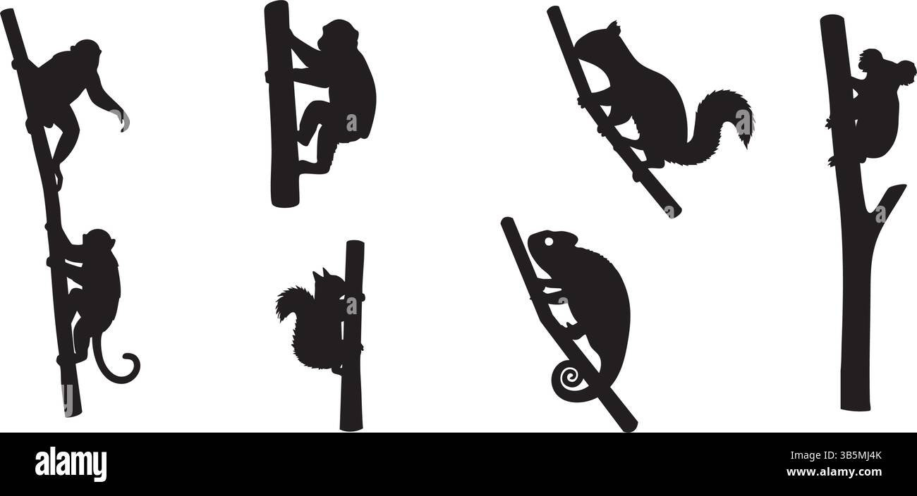 Kletterbaum Tier Silhouetten Vektor – Wildlife Illustration für Grafik Design Elemente & Kunst Stock Vektor