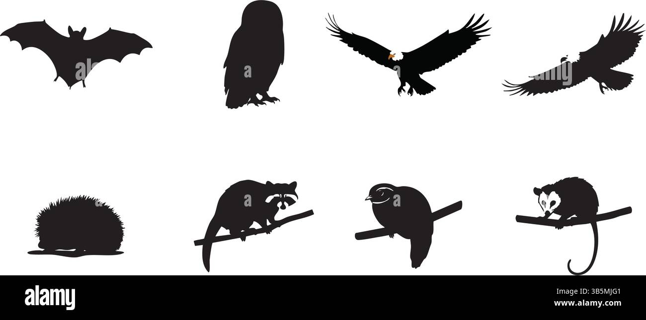 Vektorkunst – Fledermaus, Eulen, Adler, Igel, Waschbär, Opossum Und Mehr Stock Vektor