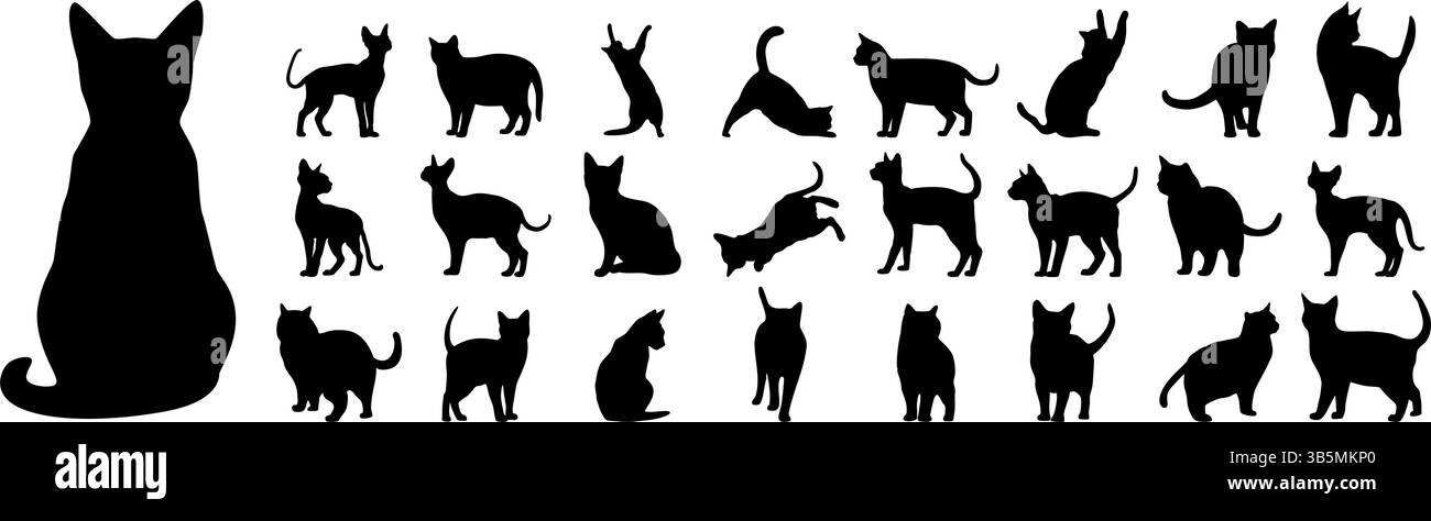 Katzen-Silhouettenset. Schwarzes Kätzchen in verschiedenen Posen. Stock Vektor