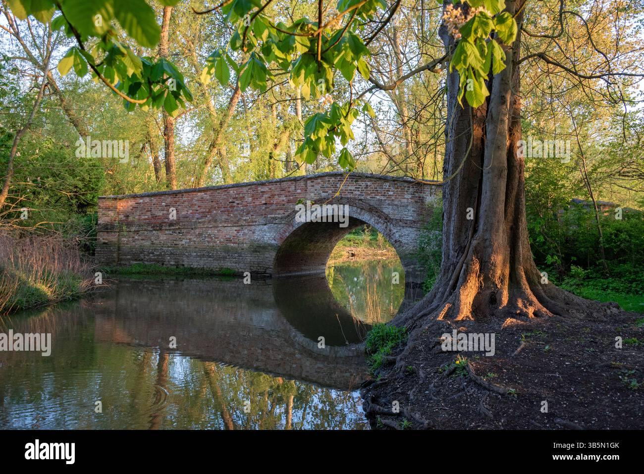 Bow Bridge über die Themse, Waterstock, Oxfordshire, Großbritannien Stockfoto