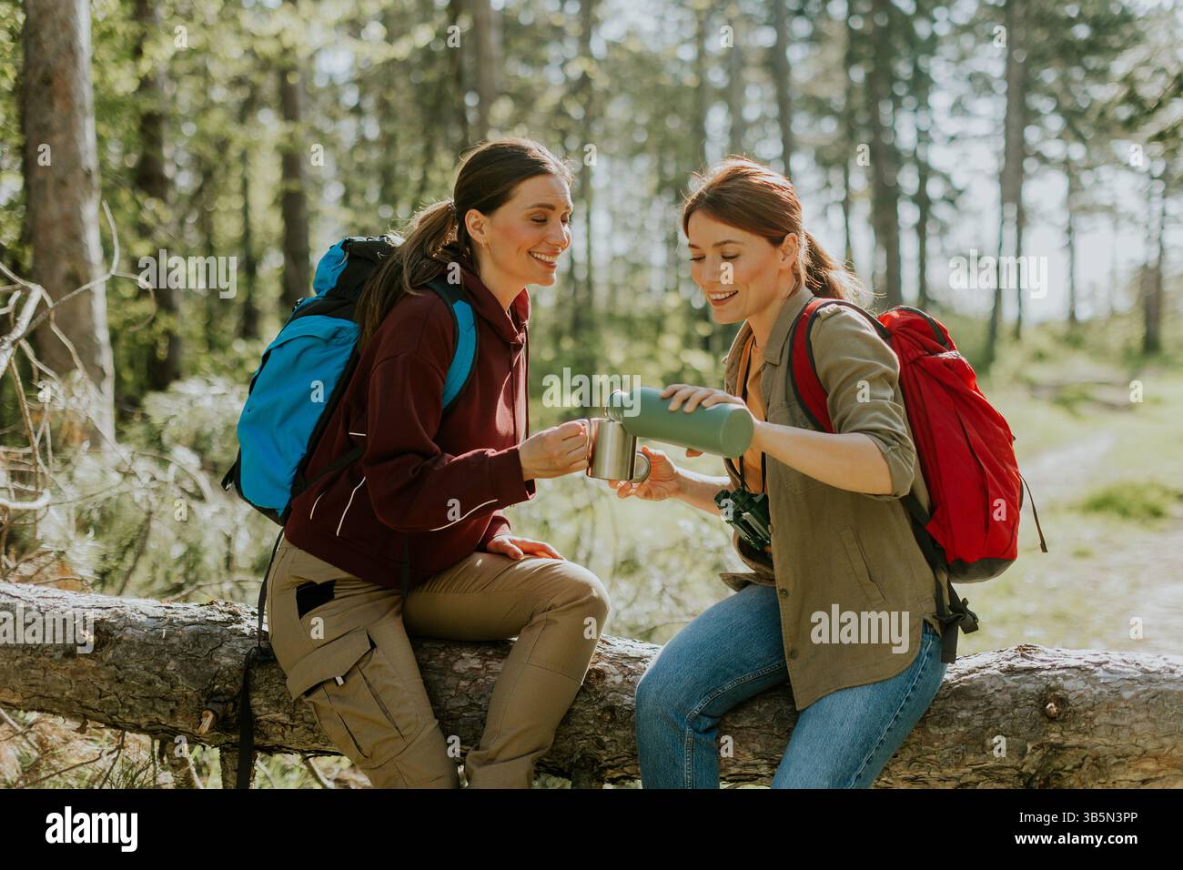 Zwei Freunde teilen sich Lachen und warme Getränke, sitzen auf einem gefallenen Baumstamm, umgeben von leuchtenden grünen Bäumen auf einem schönen Outdoor-Abenteuer. Stockfoto