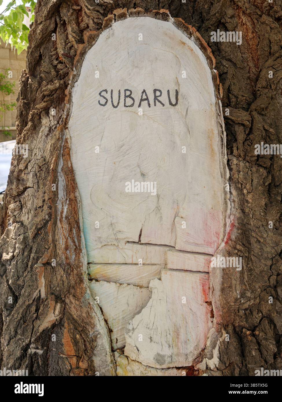 Verwitterte Baumrinde mit tief eingeätztem SUBARU-Wort. Tiflis, Georgien - 1. April 2025. Stockfoto