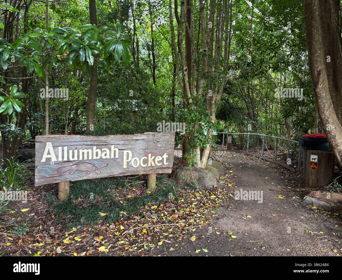 Wiederbepflanzter Regenwald am Allumbah Pocket, Beginn des Peterson's Creek Walks, Yungaburra, Queensland, Australien. Keine PR Stockfoto