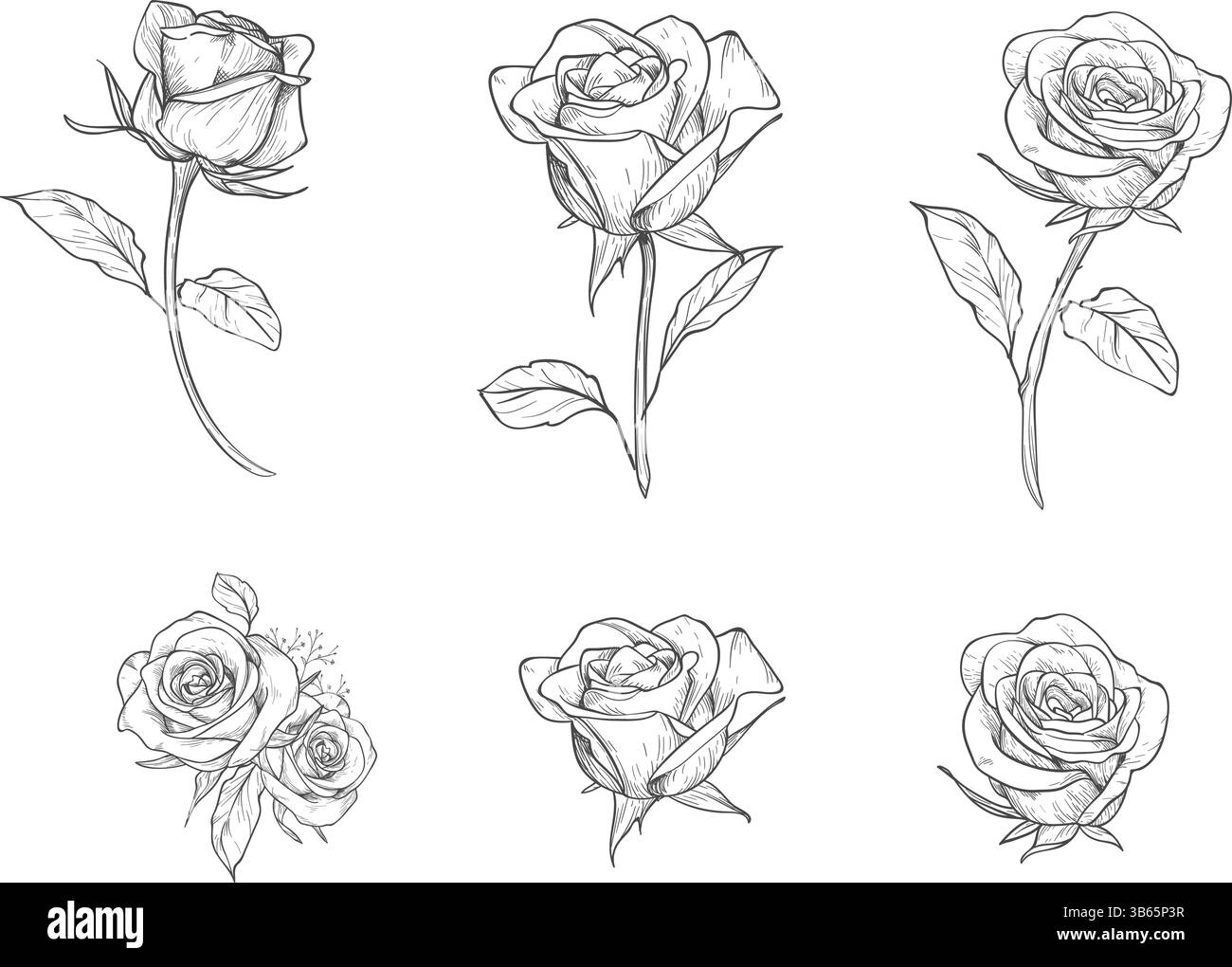 Hand Gezeichneter Rose Sketch Vektor, Botanische Blumenlinie Kunst, Romantisches Blumendesign Stock Vektor