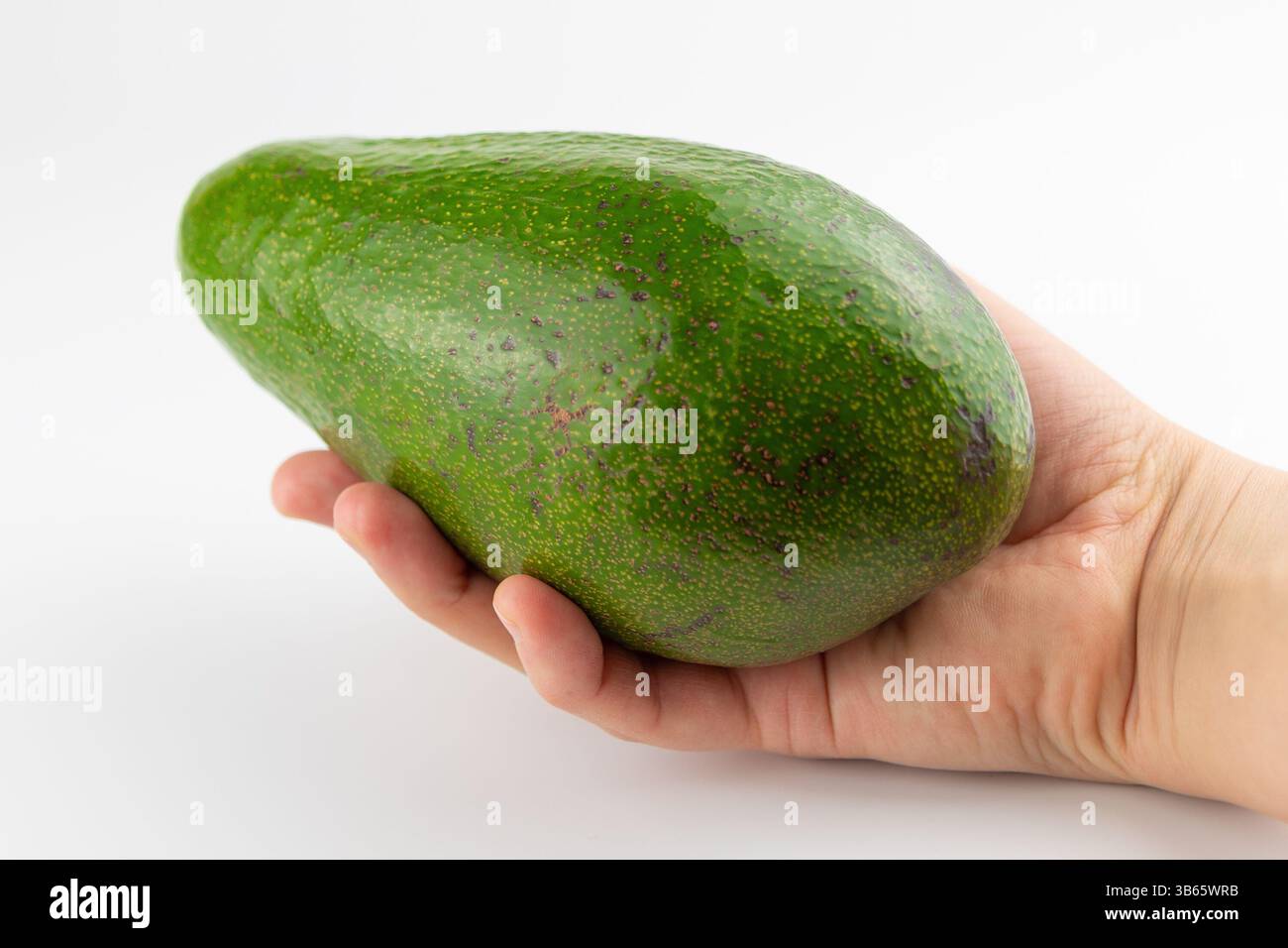Große Avocado in der Hand auf weißem Hintergrund. Obst und Gemüse. Richtige Ernährung. Stockfoto