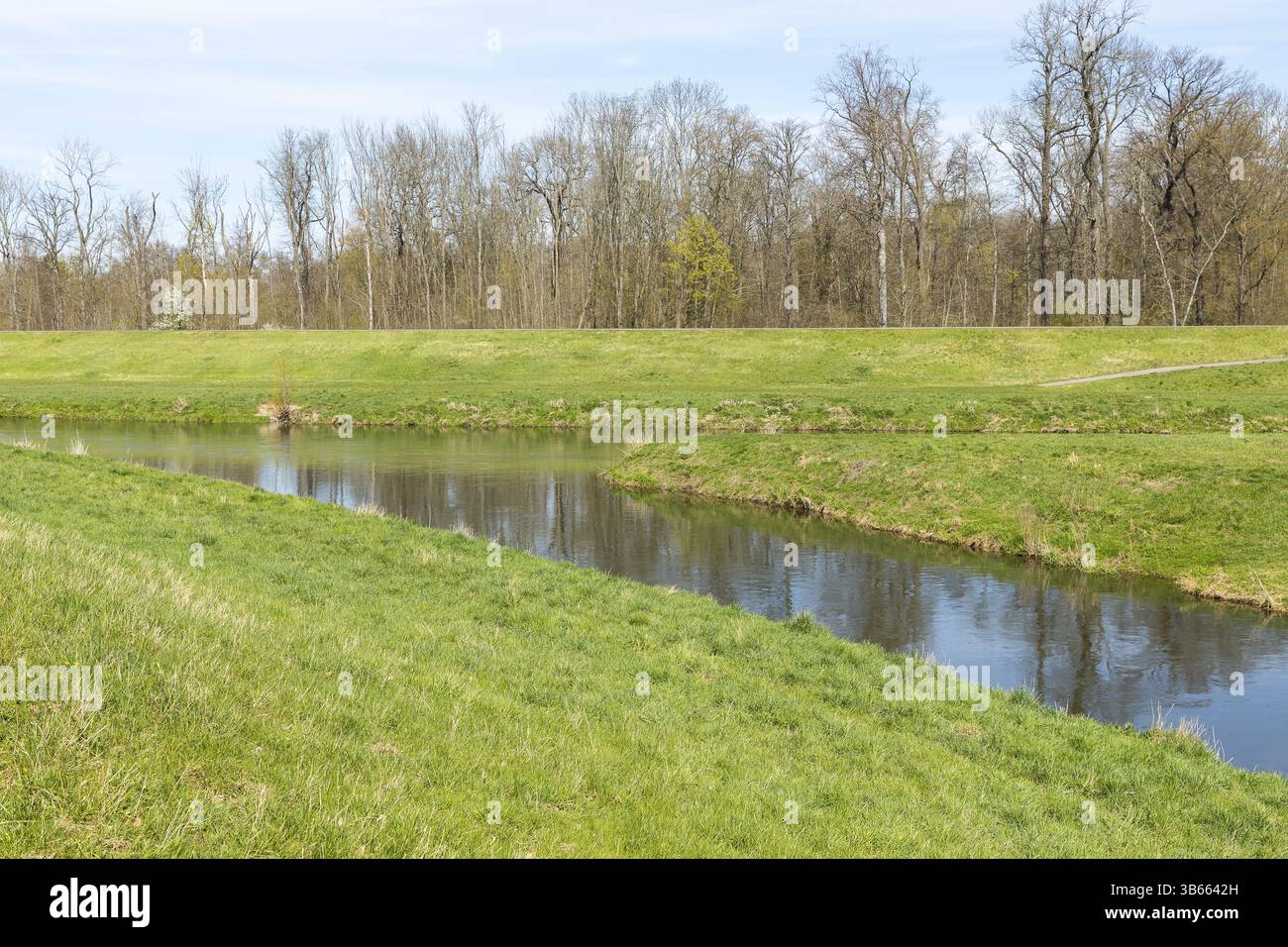 Nebenfluss der Nahle in die neue Luppe in der Burgaue, Auwald, Leipzig, Sachsen, Deutschland, Europa Stockfoto