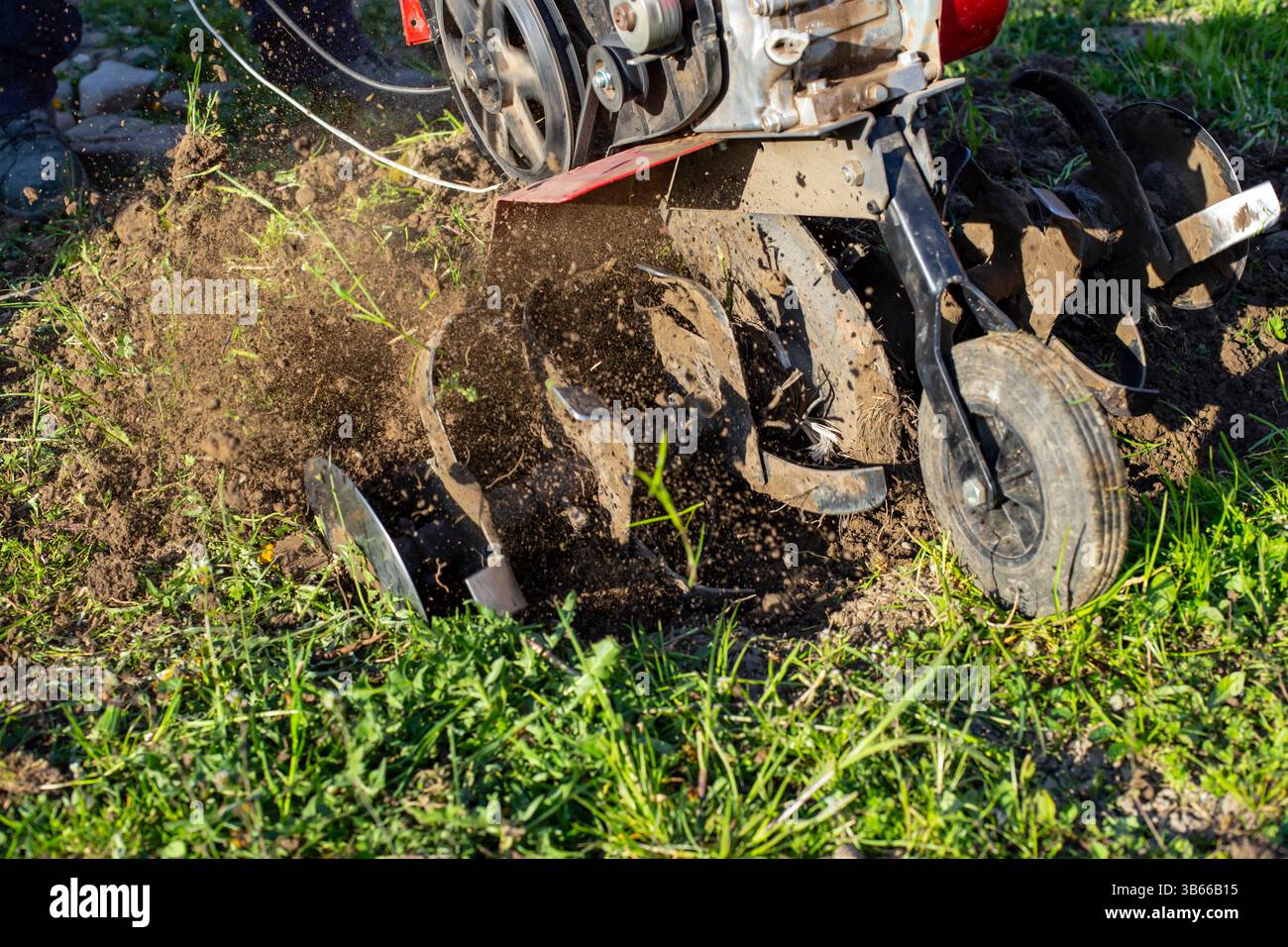 Gartenfräse für die Feldbearbeitung, löst Boden. Der tragbare Motorpflug wirft Schmutz mit Bewegungsunschärfe Stockfoto