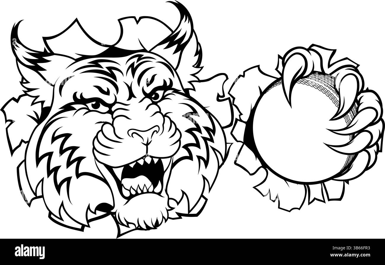 Wildcat Bobcat Cricket Ball Tier Team Maskottchen Stock Vektor