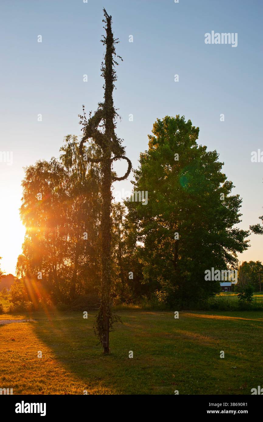 Mittsommernacht und die Sonne ist noch auf, wie romantisch. Der Maypole bei Sonnenuntergang, mit Kameraflampen. Stockfoto
