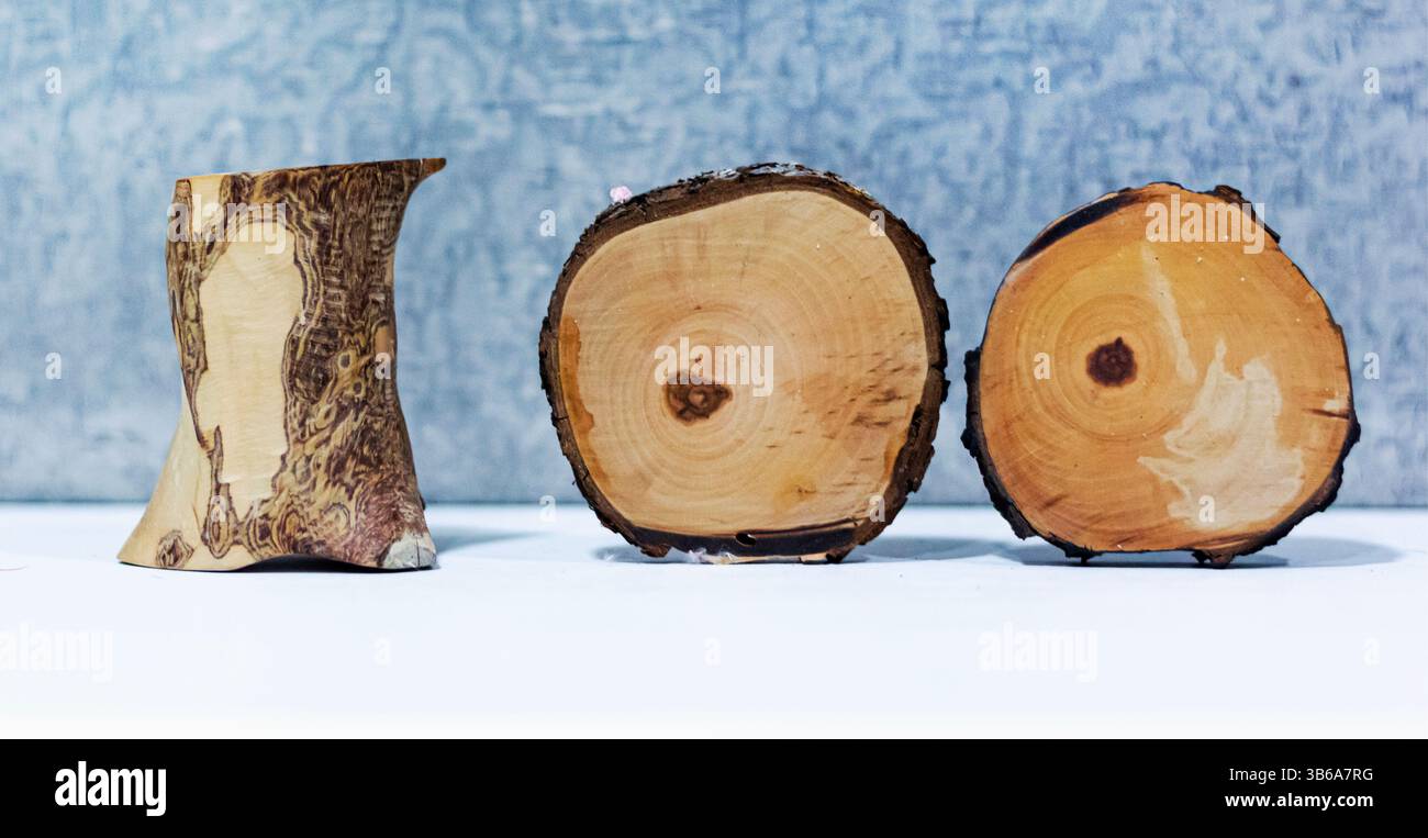 Drei unterschiedliche Holzscheiben sind sauber auf einer sauberen, weißen Oberfläche angeordnet und zeigen ihre einzigartigen Texturen und Farben Stockfoto