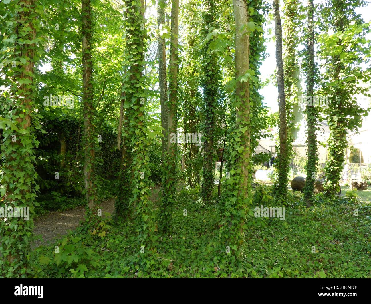 Garden Léonard de Vinci - Tours Stockfoto